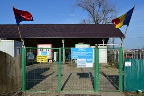 Adăpostul "Grivei" va fi deschis la 1 februarie, dar adopţiile au restricţii (FOTO)